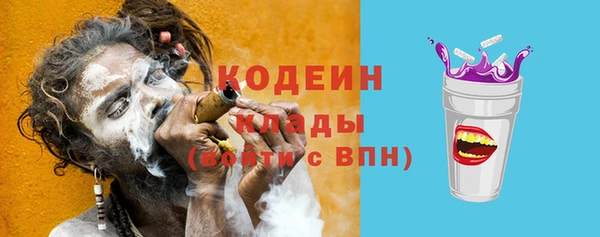 соль ск Богданович