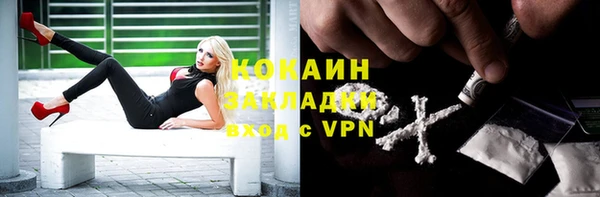 соль ск Богданович