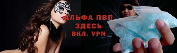 соль ск Богданович