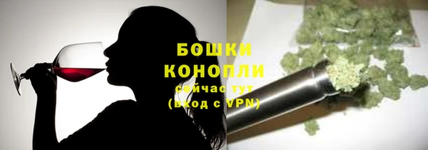 соль ск Богданович