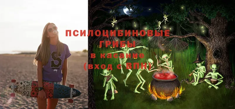 Галлюциногенные грибы Cubensis Бокситогорск