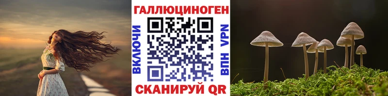Псилоцибиновые грибы Psilocybe  дарнет шоп  Бокситогорск 